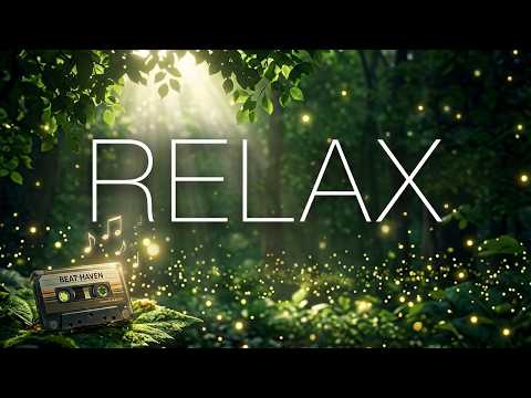 🎧 Light Lofi Music Beats - Relax