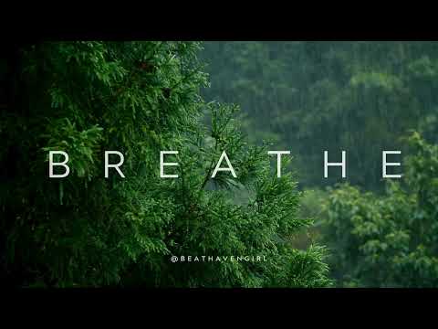 🎧 Lofi Music Beats - Breathe