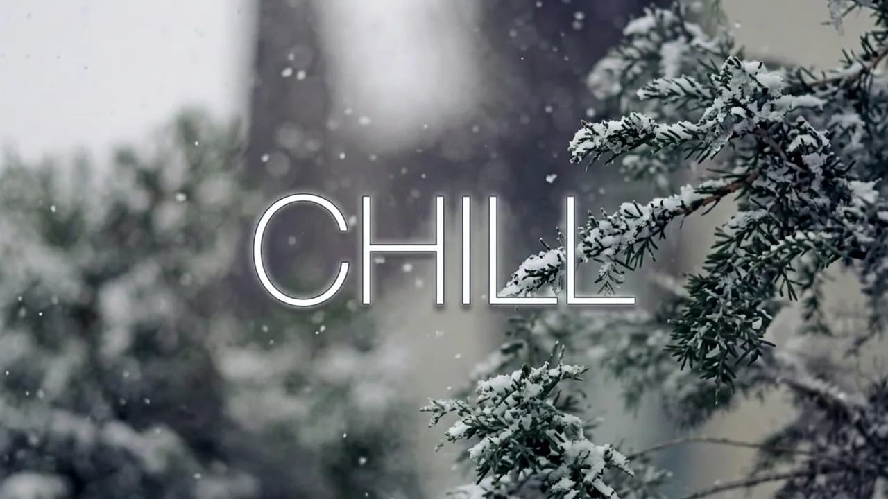 🎧 Lofi Music Beats - Chill